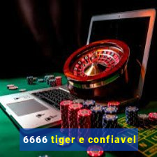 6666 tiger e confiavel